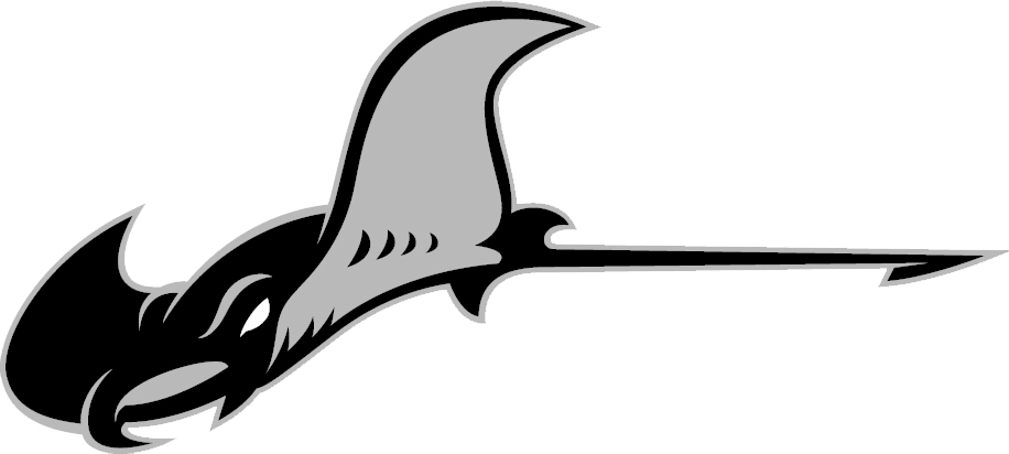 Stingray Rentals